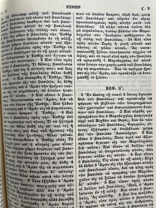 The Holy Bible, Vamvas' Translation in Greek