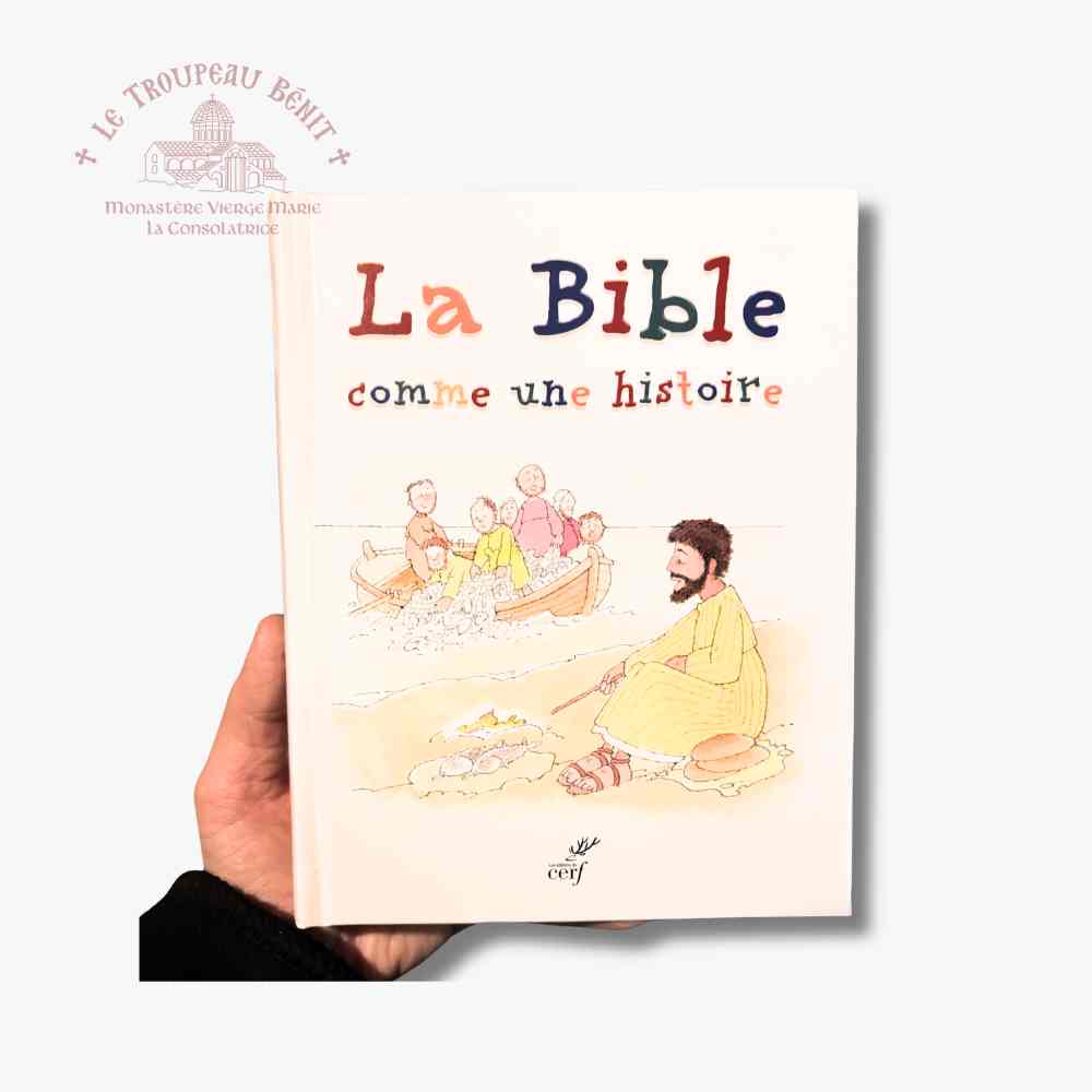Book titled 'La Bible comme une histoire' held by a hand on a white background